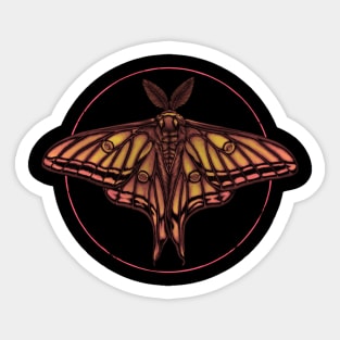 Spanish Moon Moth Sticker